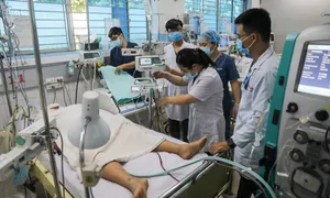 Ca sốt xuất huyết tại TP HCM tăng Ca sốt xuất huyết tại TP HCM tăng