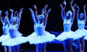 Tái diễn vũ kịch 'Hồ Thiên Nga' ở TP HCM