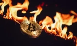 Thị trường tiền số đang 'sợ hãi cực độ'